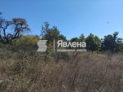 парцел
