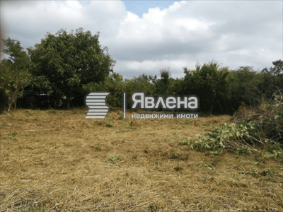 снимка