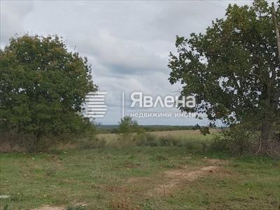 парцел