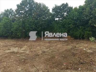 парцел