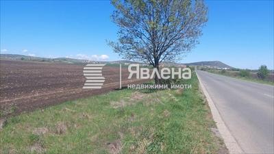 лице на гл.път