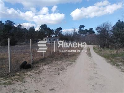 път