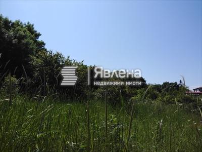 парцел
