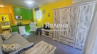 стая