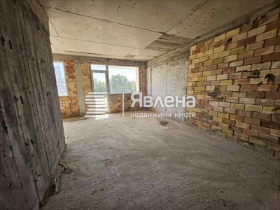 стая