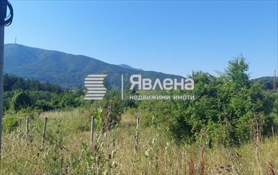 панорама