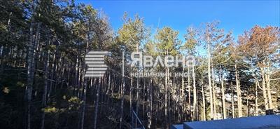 горска гледка