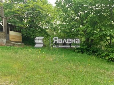 имот
