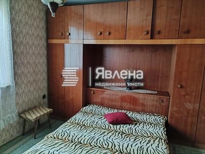Стая