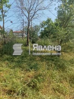 парцел