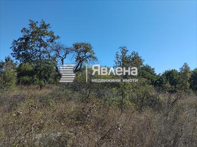 парцел