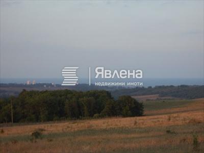 Фазаново