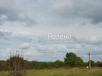 парцел