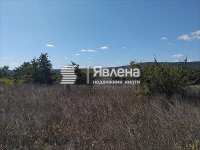 парцел