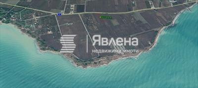 лахана