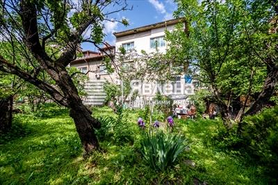 Тристаен Реута