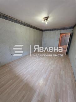 стая