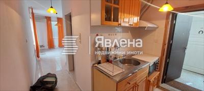 стая