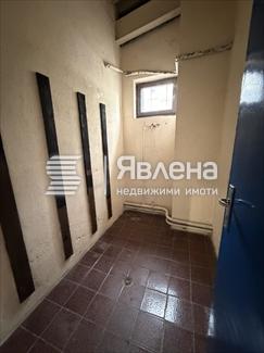 Стая