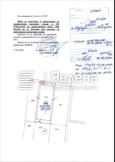 скица-виза