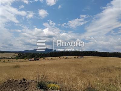 парцел