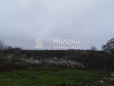 парцел