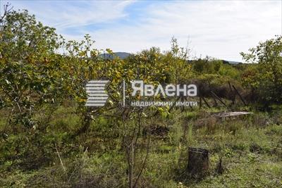 парцел