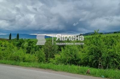 панорама