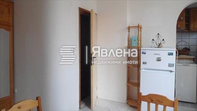 стая