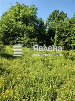 парцел