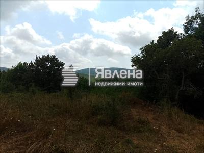 панорама
