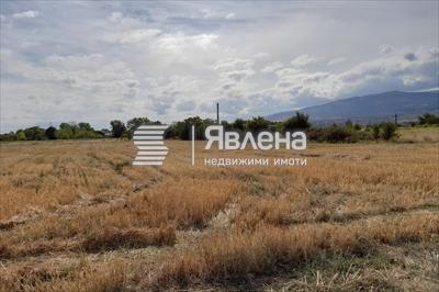 нивата